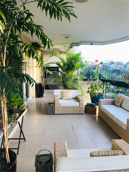 Aluguel Apartamento São Paulo Jardim Vitória Régia 1