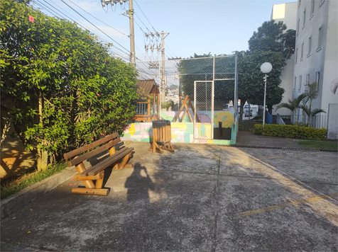 São marcos 