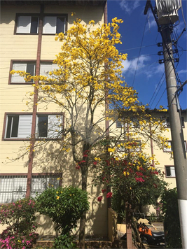 Venda Apartamento São Paulo Americanópolis 1