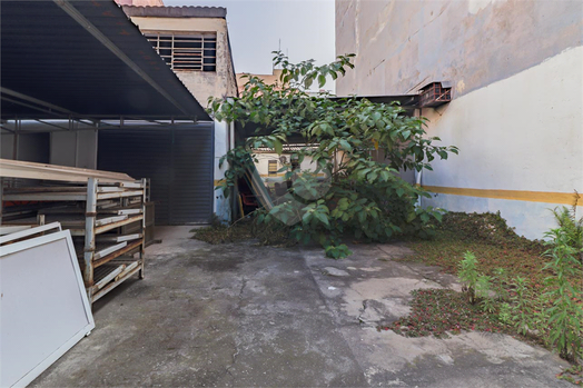 Venda Terreno São Paulo Campos Elíseos 1