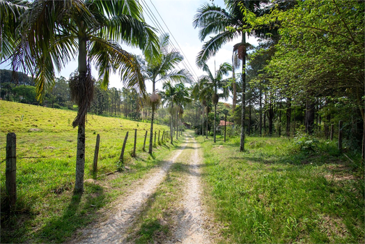 Venda Terreno São Roque Vila Darcy Penteado (mailasqui) 1