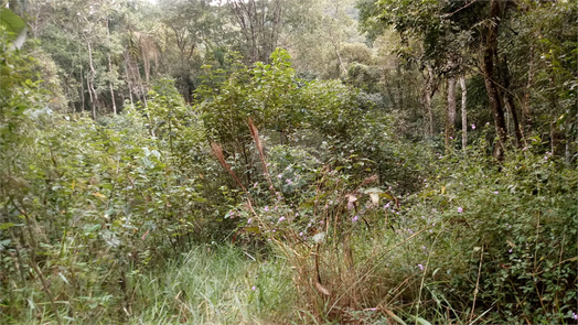 Venda Terreno Mairiporã Barreiro 1