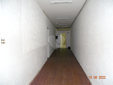 Anhanguera.