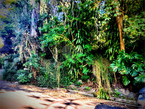Venda Terreno Mairiporã Roseira 1