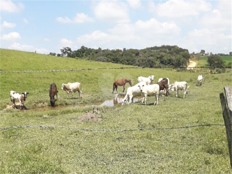 Venda Área de Terra Monte Mor Área Rural De Monte Mor 1
