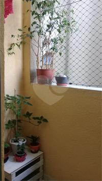 Casarão Martim Afonso