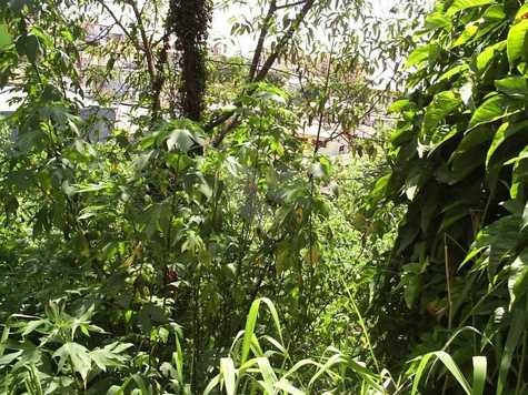 Venda Terreno São Paulo Vila Morse 1