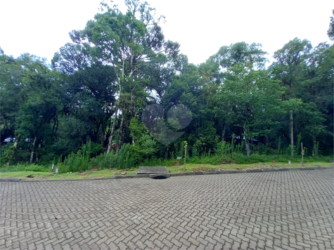 Venda Terreno Canela Bosque Sinosserra 1