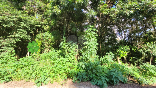 Venda Loteamento Mairiporã Canjica (terra Preta) 1