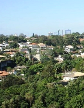 Venda Apartamento São Paulo Vila Progredior 1