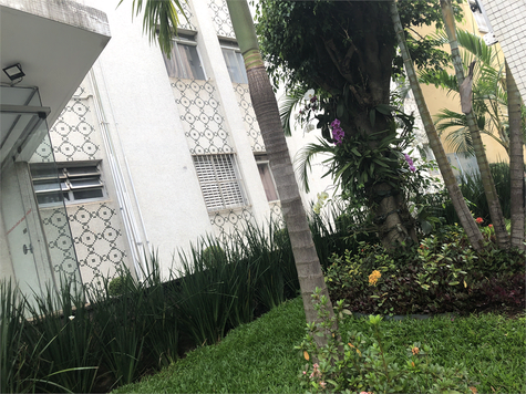 Edifico Marfim