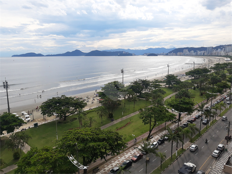 Paineira