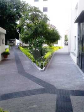 Venda Apartamento São Paulo Brás 1