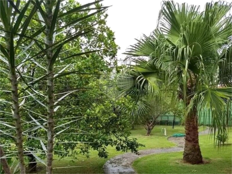 Venda Chácara Indaiatuba Recreio Campestre Jóia 1