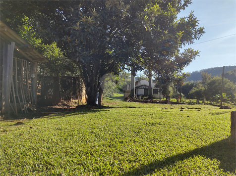Venda Sítio Amparo Centro (três Pontes) 1