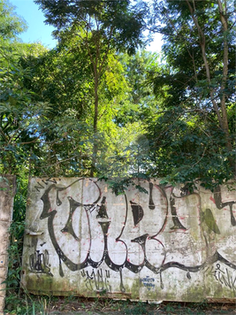 Venda Terreno São Paulo Vila Irmãos Arnoni 1