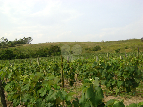 Venda Área de Terra Indaiatuba Colinas Do Mosteiro De Itaici 1