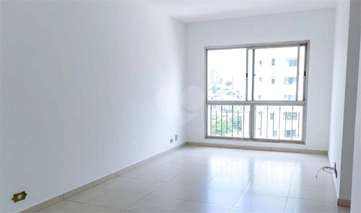 BOSQUES DA SAMAMBAIAS