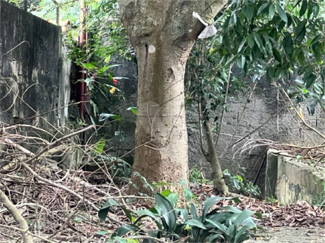 Venda Terreno São Paulo Horto Florestal 1