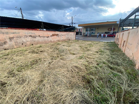 Venda Terreno São Carlos Centro 1