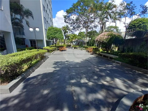 Venda Apartamento São Paulo Vila Amélia 1