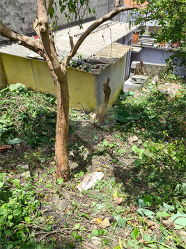 Venda Terreno São Paulo Vila Cachoeira 1