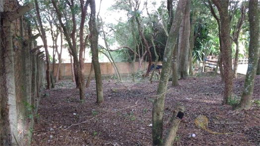 Venda Terreno Porto Alegre Vila Conceição 1