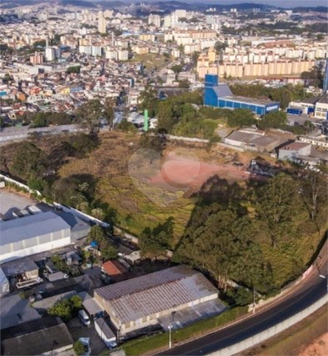 Aluguel Terreno São Bernardo Do Campo Cooperativa 1