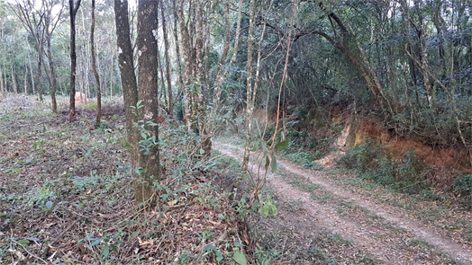 Venda Terreno Mairiporã Roseira 1