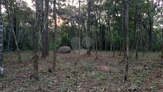 Venda Terreno Mairiporã Roseira 1