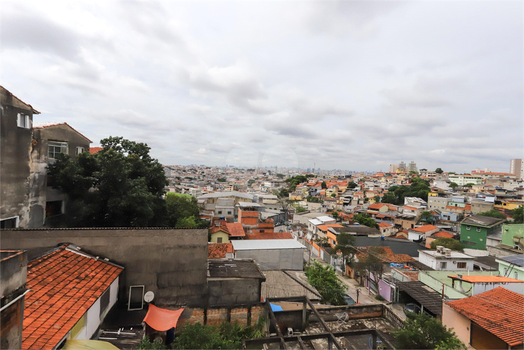 MIRANTE VERDE