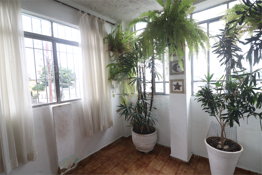 Venda Casa São Paulo Vila Celeste 1