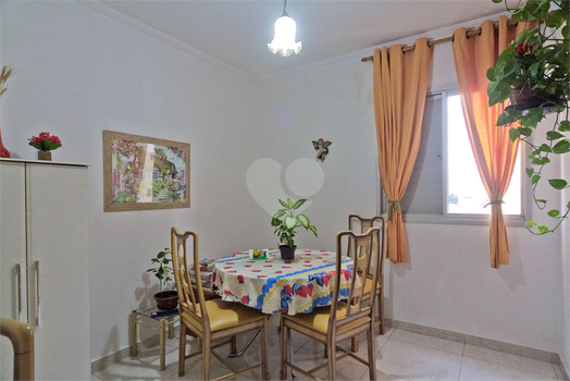 Jardins De Bragança