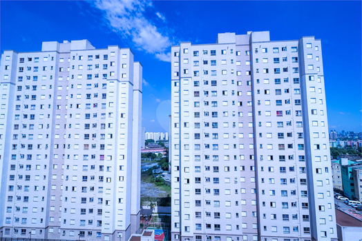 Minha Penha Dez Tiquatira