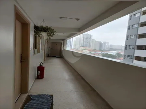 santa Terezinha