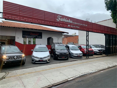 Aluguel Terreno São Paulo Vila Mascote 1