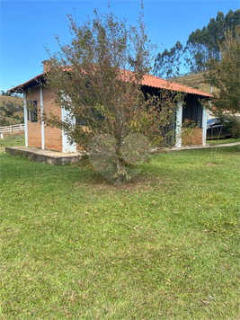 Venda Fazenda Cunha Centro 1
