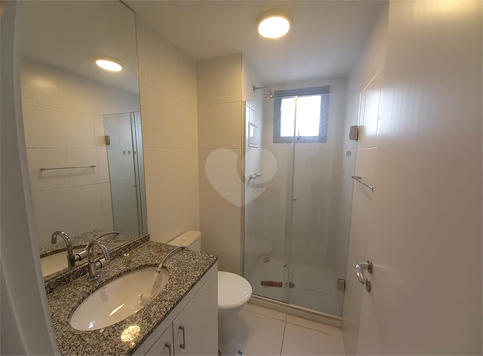 Aluguel Apartamento São Paulo Vila Santa Catarina 1