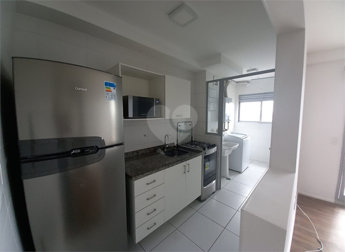 Aluguel Apartamento São Paulo Vila Santa Catarina 1