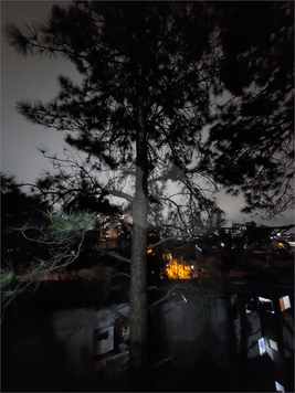 Condominio Flamboyant