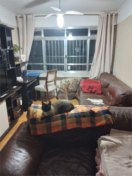 Venda Apartamento São Paulo Guapira 1
