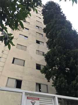 MARIO PINHEIRO RIBEIRO