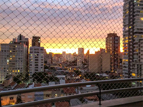 HERBOR LOFT EVOLUTION II