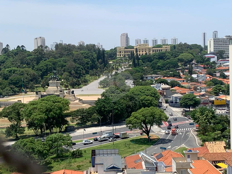 Venda Apartamento São Paulo Vila Monumento 1