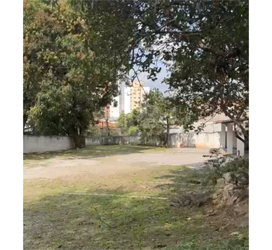 Aluguel Terreno São Paulo Vila Indiana 1