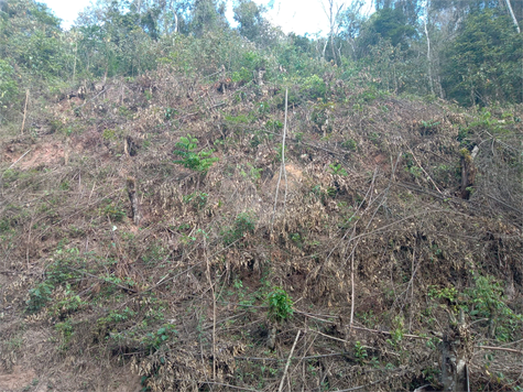 Venda Condomínio Mairiporã Caraguatá 1