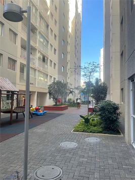 Aluguel Apartamento São Paulo Brás 1