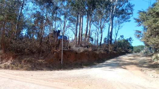 Venda Terreno São Roque Caete (mailasqui) 1