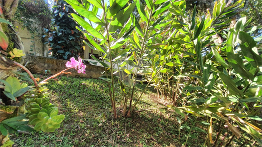 Venda Área de Terra Mairiporã Chácara Arantes 1