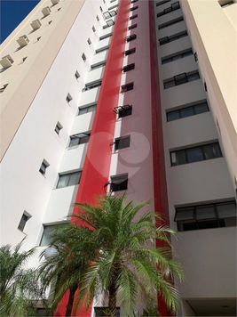 Aluguel Apartamento Bauru Vila Aviação 1